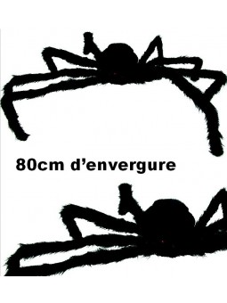 araignée velue geante