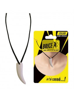 Le collier Brice de Nice