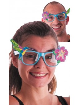 Lunettes Hibiscus