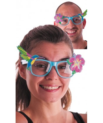 Lunettes Hibiscus