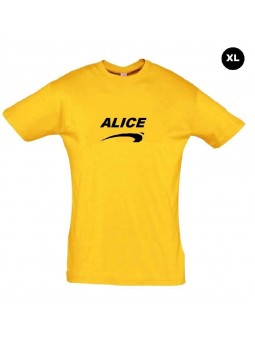 Déguisement Alice de nice grande taille