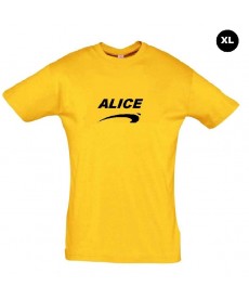 Déguisement Alice de nice grande taille