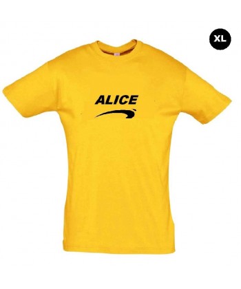 Déguisement Alice de nice grande taille