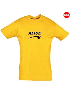 Déguisement Alice de nice grande taille