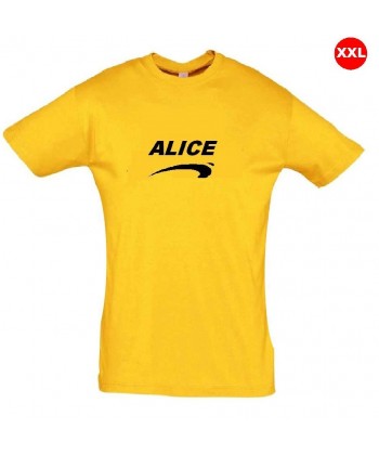 Déguisement Alice de nice grande taille