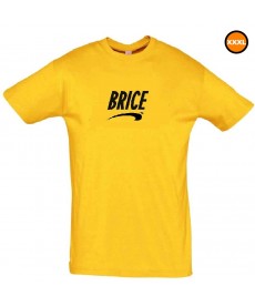 Tee shirt Brice de Nice XXXL