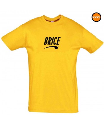 Tee shirt Brice de Nice XXXL