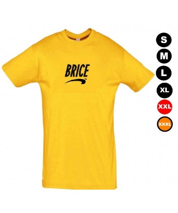 Tee shirt de Brice de Nice