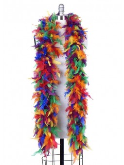 Boa plumes multicolores