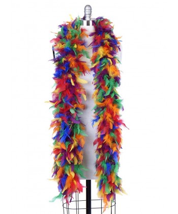 Boa plumes multicolores