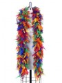 Boa plumes multicolores