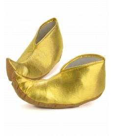 Chaussure d'Aladdin