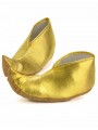 Chaussure d'Aladdin