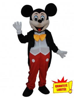 mascotte de mickey 