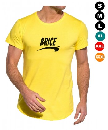 Tee shirt "Brice" 