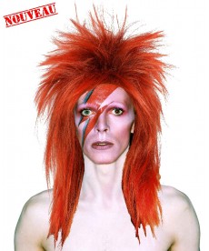 Perruque David Bowie
