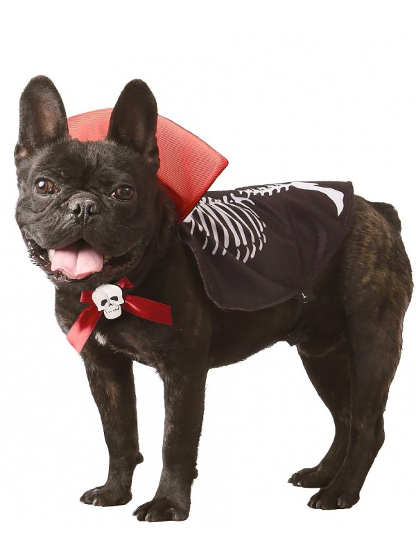 Déguisement Halloween pour chien