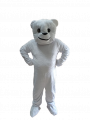 Mascotte ours blanc  polaire