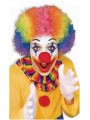 Perruque de Clown  multicolore