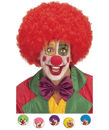 Perruque de Clown maxi