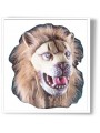 Lion (intégral)